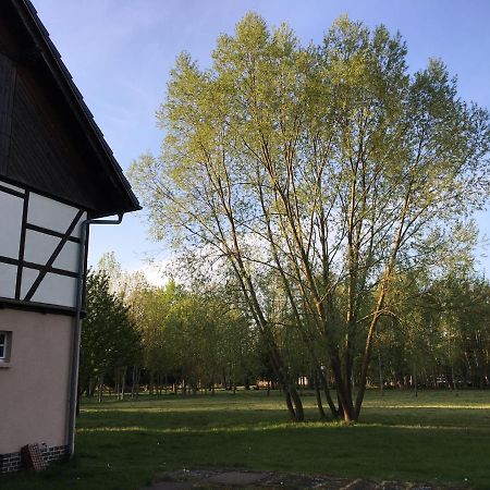 Spreewaldhaus Melcher Бург Екстериор снимка